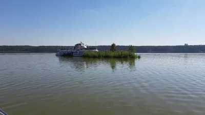 Еще один плавучий остров появился на акватории Ижевского пруда | 13.07.2020  | Ижевск - БезФормата