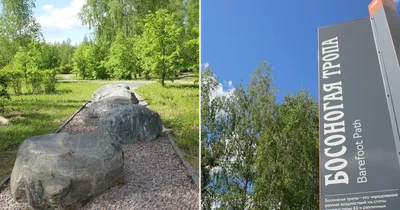 Лосиный остров, банный комплекс, Як-Бодьинский тракт 8 км, 8/11, Ижевск —  2ГИС