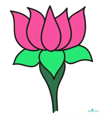 The Real Meaning of the Lotus Flower