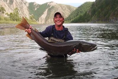 Ловля рыбы в мутной воде.