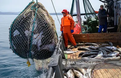 Любительская ловля рыбы в Каспийском море и спортивная рыбалка запрещены до  30 июня - АЗЕРТАДЖ