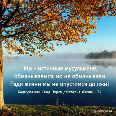 ислам #ложь #недоверие #орел #змея #природа #2023 #предательство #лицемеры  #христианство #мечеть #церковь #мусульманин #любовь #дети… | Instagram