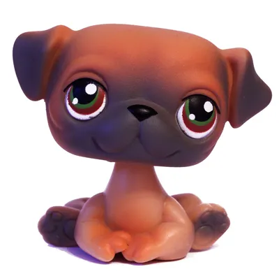 Adorable Custom Lps Collie Blue Eyes Accessories Perfect - Temu Japan