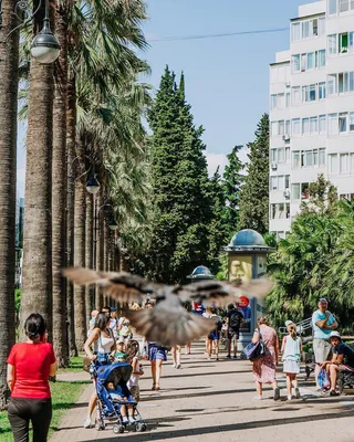 ТОП-7 достопримечательностей города Сочи — отель «Лазурная»