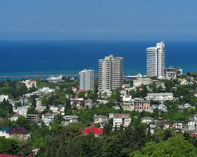 Жить бы в Сочи: названы самые желанные для переезда города РФ | Статьи |  Известия