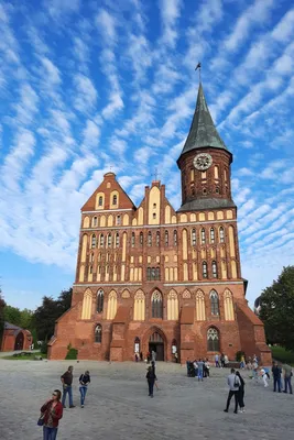 Лучшие достопримечательности Калининграда: адреса, описания, фото, как  добраться, отзывы | Центр отдыха \"Целинбург\", Калининградская область -  официальный сайт