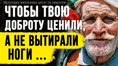 Пламя свободы»: как женщины-философы искали смысл и свет даже в самые  темные времена | Forbes Woman