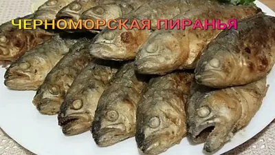 Жареный луфарь с апельсинами и чесноком — рецепт от ВкусВилл