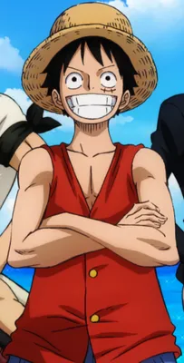 Monkey D. Luffy | One Piece Wiki | Fandom