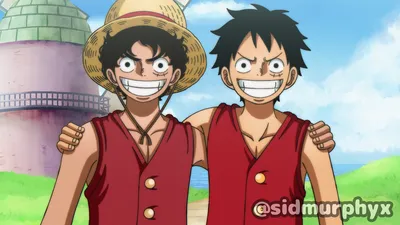 monkey d. luffy | One piece cartoon, Manga anime one piece, Anime characters