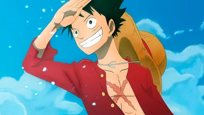 Monkey D. Luffy (1007)