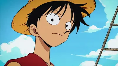 XXRAY PLUS: Luffy