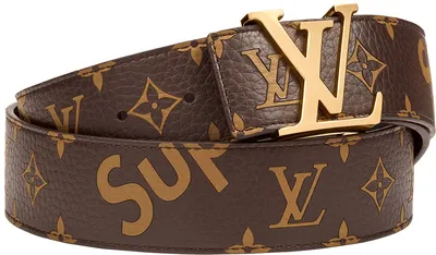 Louis Vuitton monogram canvas colour and pattern | Download Scientific  Diagram