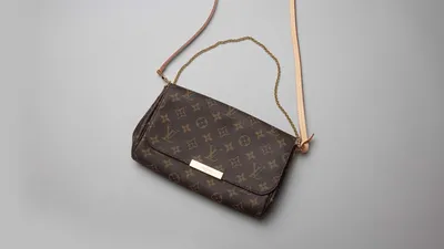 LOUIS VUITTON Favorite PM Bag in Damier Ebene Canvas | COCOON