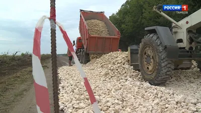 В Тамбовской области могут возродить древнюю деревянную крепость - МК Тамбов