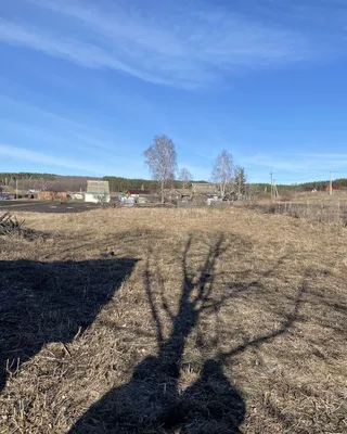 Местный туризм. Лысые Горы | Притамбовье