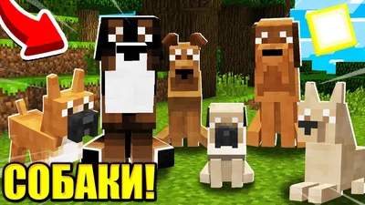 🥰МАЙНКРАФТ НО МЫ СЕМЬЯ СОБАК! ШЕДИ ЛЕСКА И НУБИК МУЛЬТИК В MINECRAFT |  MrShadyMan | Дзен