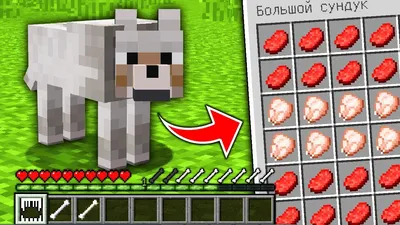 Мягкая игрушка Волк Майнкрафт Minecraft Собака: цена 280 грн - купить  Мягкие игрушки на ИЗИ | Одесская область