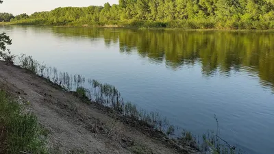 Песчаный пляж в Оренбургской области — фото, описание на GoRu