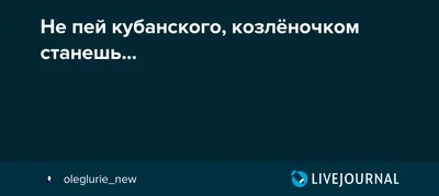 Матрас Для Дивана Dimax МЛ-6 купить в Москве по цене от производителя в  Анатомия Сна