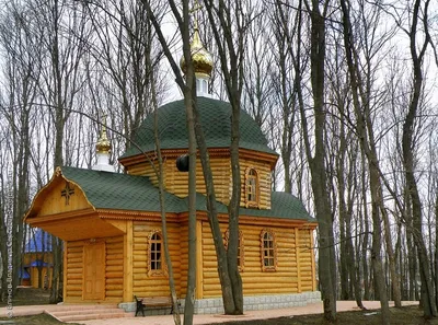 Фото: Иоанно-Богословский Макаровский мужской монастырь, монастырь,  Республика Мордовия, городской округ Саранск, село Макаровка — Яндекс Карты