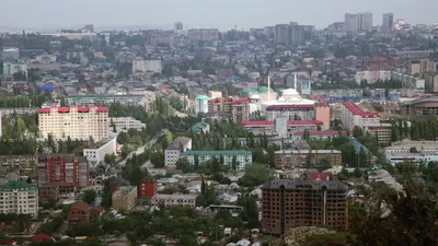 В Махачкале три человека получили ножевые ранения во время драки - РИА  Новости, 06.08.2021