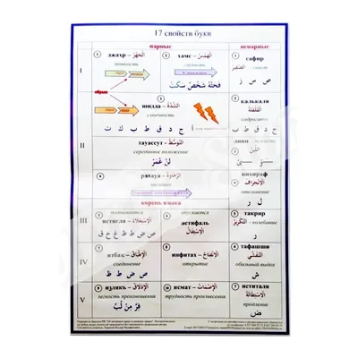 Плакат \"Места артикуляции звуков арабского языка\"