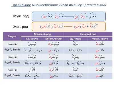 Спряжение арабских глаголов с Qutrub