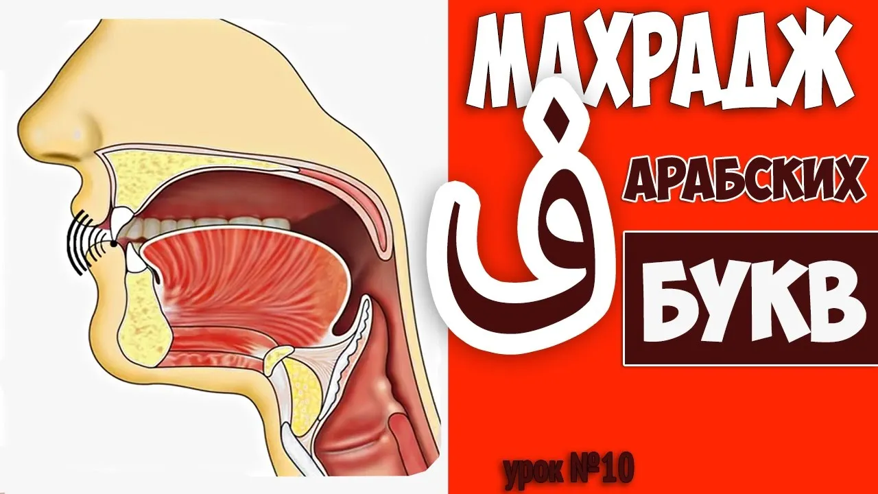 Махрадж это. ف Махрадж. Махрадж буквы фа арабский. Махрадж буквы сад. Буквы Махарадж.