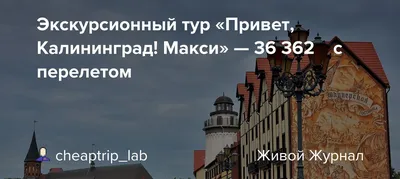 Почему советские люди не восстанавливали исторический Кёнигсберг, а  превратили город – в Калининград | Макс Путешествует | Дзен