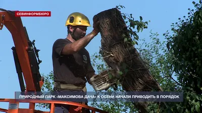 Архитектурный заказник Максимова дача (Крым, Севастополь) - «Немного  таинственный Севастополь. Максимова дача, усадьба А.Максимова.» | отзывы