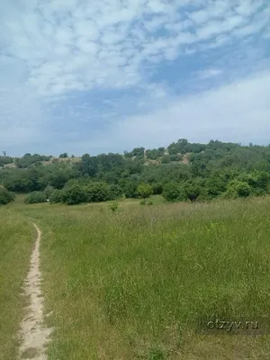 Заброшенное наследие. Максимова дача в Севастополе (фотогалерея)