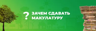 Макулатура: важные и интересные факты