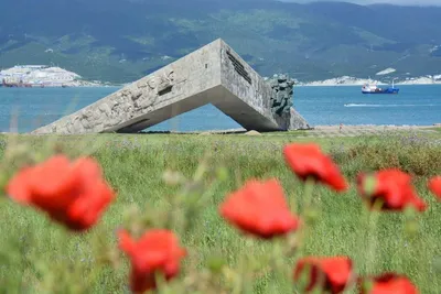 Утренний Новороссийск | Пикабу