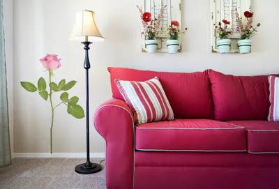 Розовый диван в интерьере, фото с идеями дизайна