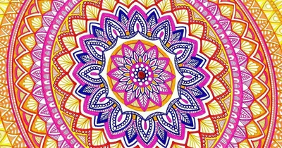 Life of Colour Mandala Painting Kit - In Bloom (Florals)