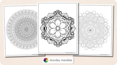 https://www.lifeofcolourproducts.com/products/copy-of-life-of-colour-mandala-kit