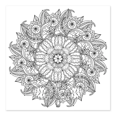 Floral mandala von Editors Choice as a colouring poster | Posterlounge