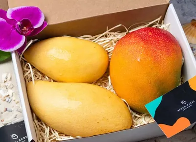 В чем польза манго для женщин – Экзотические фрукты Mango Лавка  Санкт-Петербург