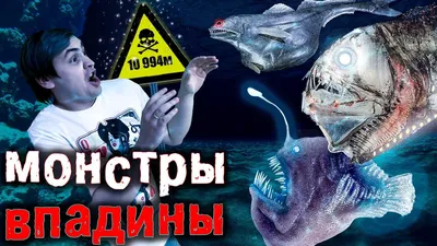 Глубоководная рыба-дракон | Пикабу