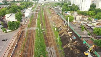 Раскрыта история происхождения названия района Марьина Роща в Москве -  Мослента