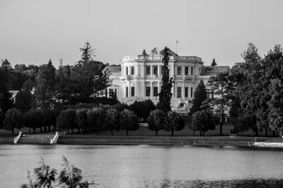 Марьино (Усадьба Барятинских), Курск. Санаторий, официальный сайт, фото,  видео, как добраться, цены 2024 – Туристер.Ру