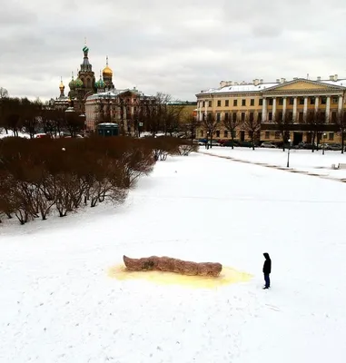 Марсово поле (Санкт-Петербург): фото и отзывы — НГС.ТУРИЗМ