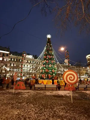 Марсово поле в Санкт-Петербурге