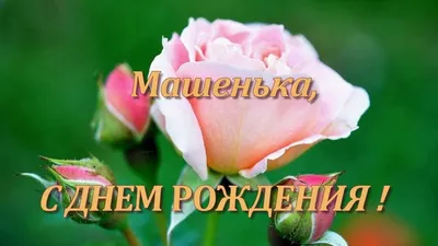 К 18\"/46 см, Круг, С Днем рождения, Маша и Медведь, 1 шт. (В упаковке) –  купить в интернет-магазине, цена, заказ online