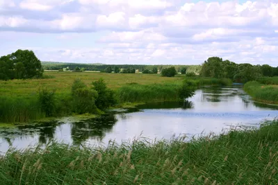 Памятник братьям Масловым, жанровая скульптура, Белгородская область,  Шебекинский городской округ — Яндекс Карты