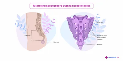 Дисплазия шейки матки 3 степени: причины, симптомы, диагностика и лечение  тяжелой дисплазии