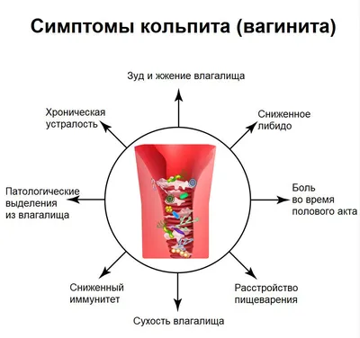 УЗИ матки и придатков: как подготовиться, как проходит УЗИ, заболевания,  расшифровка результатов