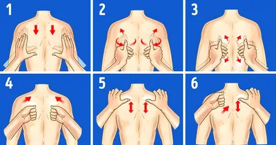 Массаж спины техника в картинках фотографии