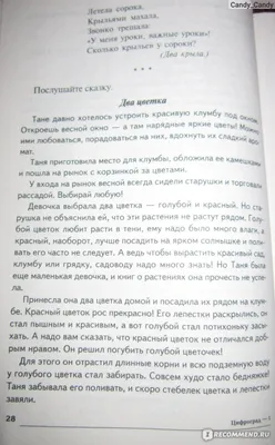 Путешествие в Цифроград. Первая математическая сказка - Шорыгина Татьяна  Андреевна - Издательство Альфа-книга